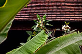 Luang Prabang, Laos. French colonial architecture